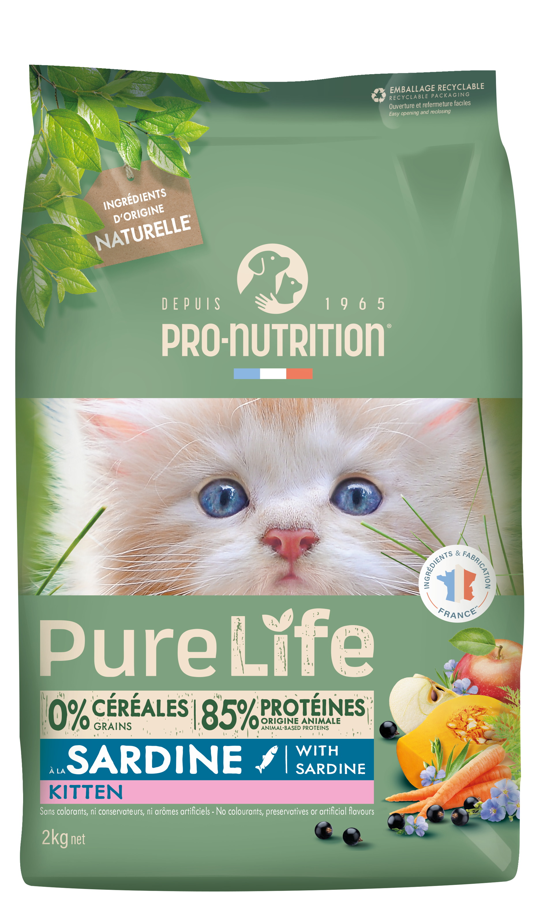 KITTEN - Pure Life