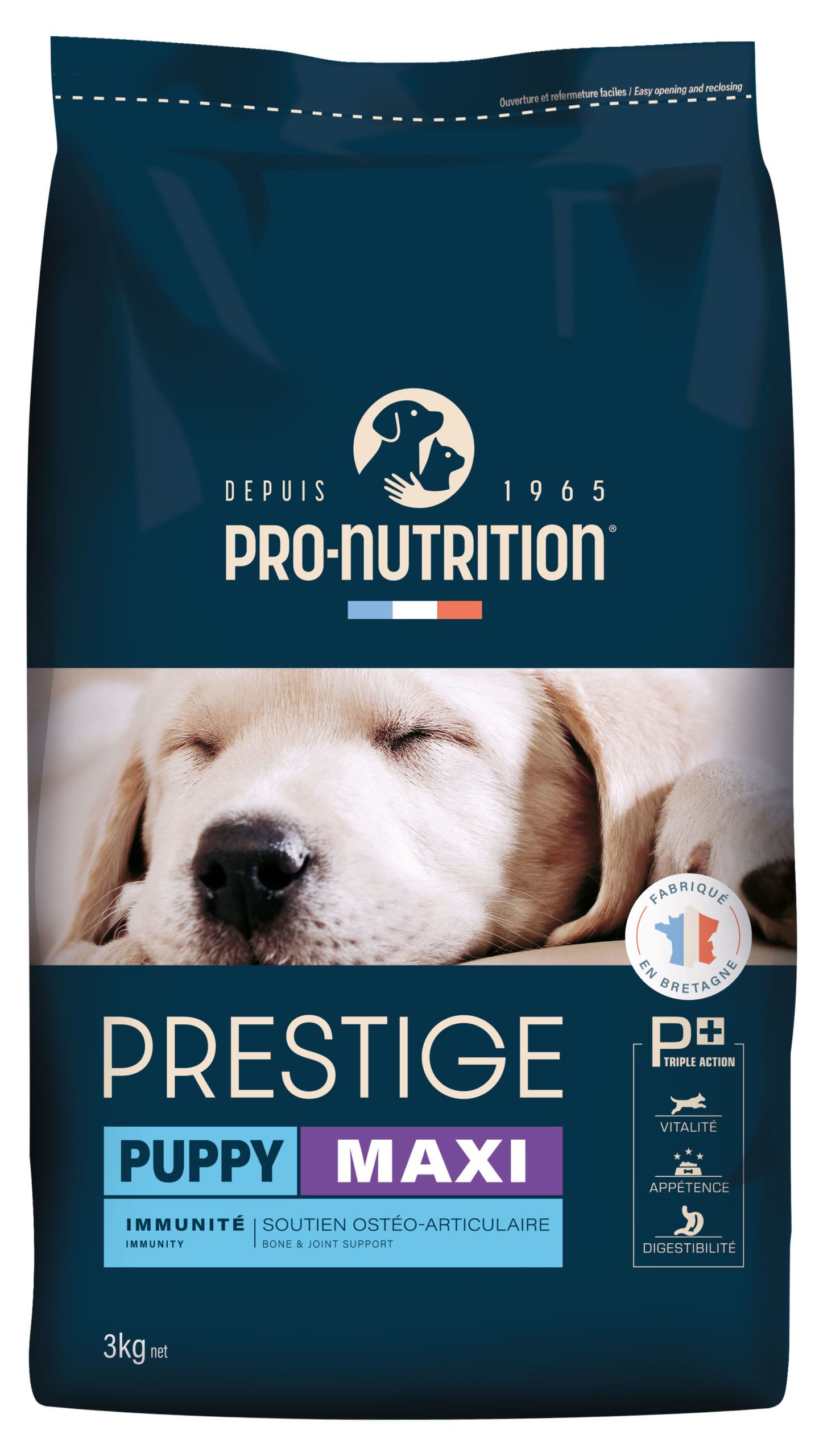 JUNIOR MAXI - Prestige