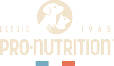 Pro Nutrition Flatazor